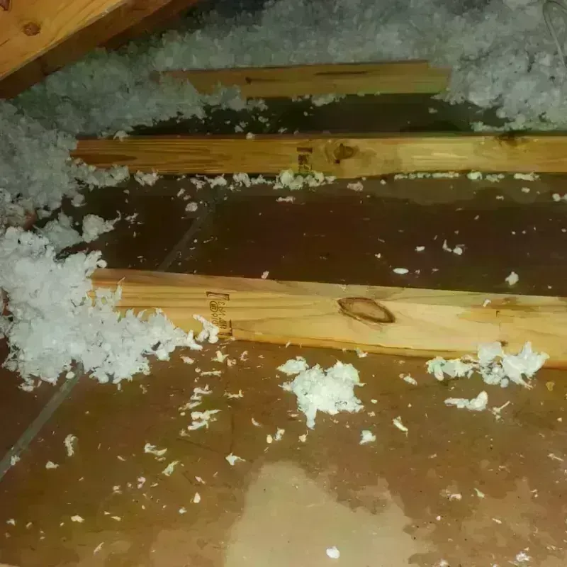 Attic Water Damage in Bennett, CO