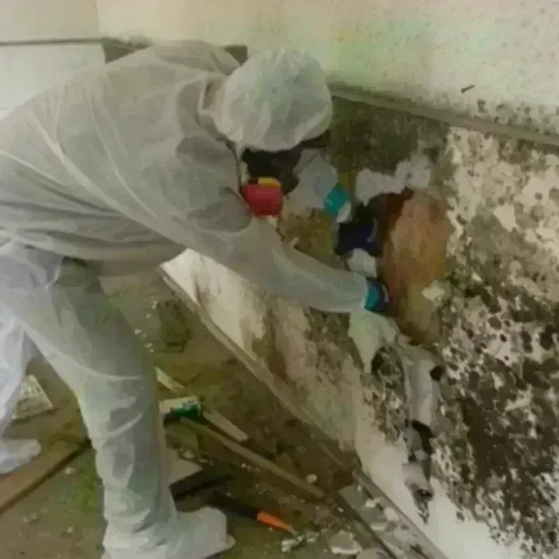 Mold Remediation and Removal in Bennett, CO