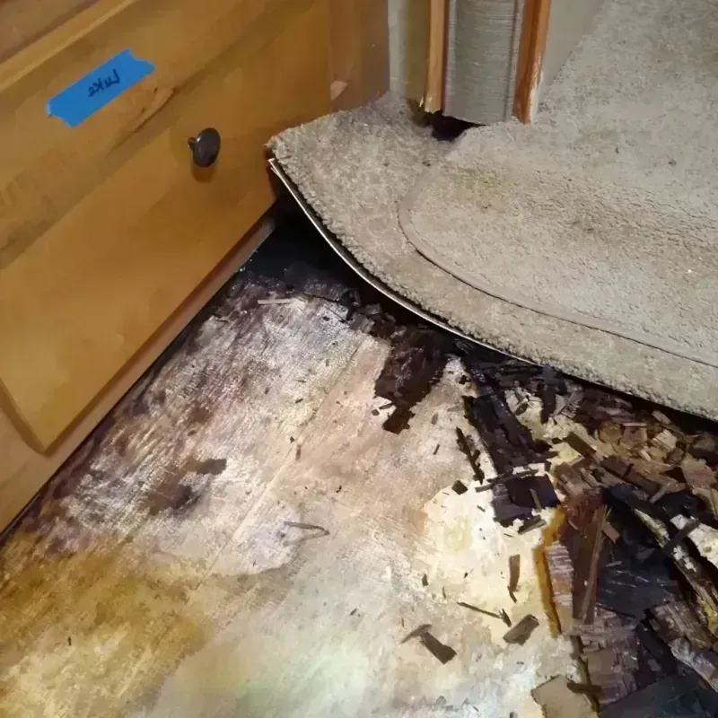 Wood Floor Water Damage in Bennett, CO